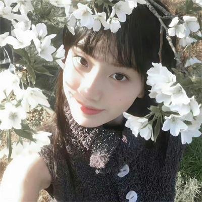 迷蝶